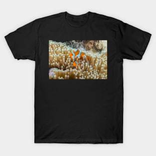 Cute Clownfish on the Great Barrier Reef T-Shirt